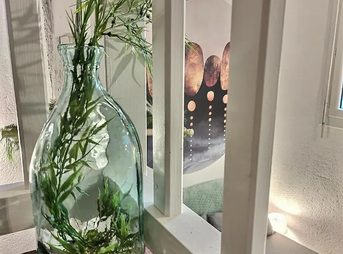 Le Temps Suspendu - Au Coeur D'albi Appartement Albi