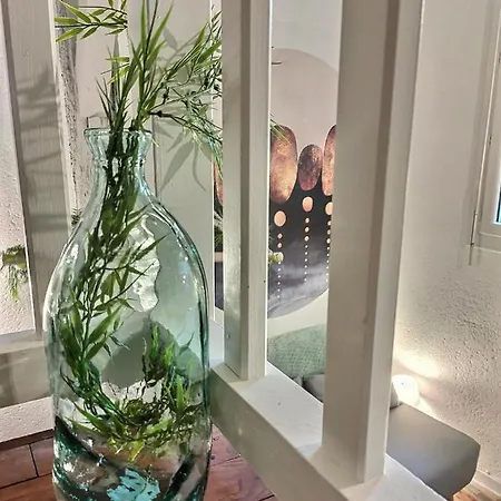 Le Temps Suspendu - Au Coeur D'albi Apartamento Albi