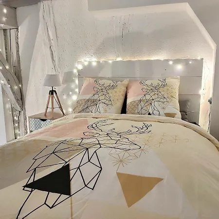 Lejlighed Le Temps Suspendu - Au Coeur D'albi Albi