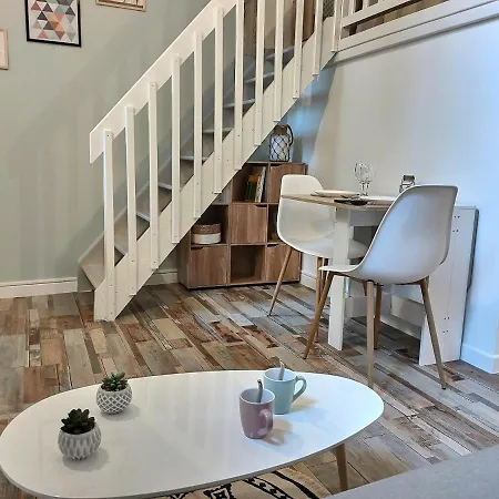 Le Temps Suspendu - Au Coeur D'albi Appartement *